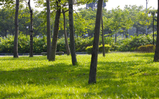 472060 (a): :1440x900